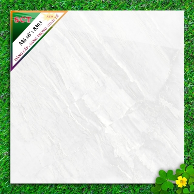 Gạch World Tiles SCT 8303